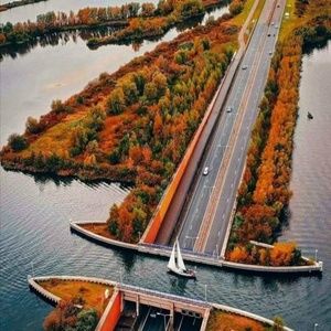 Meet your Posher, Chavez